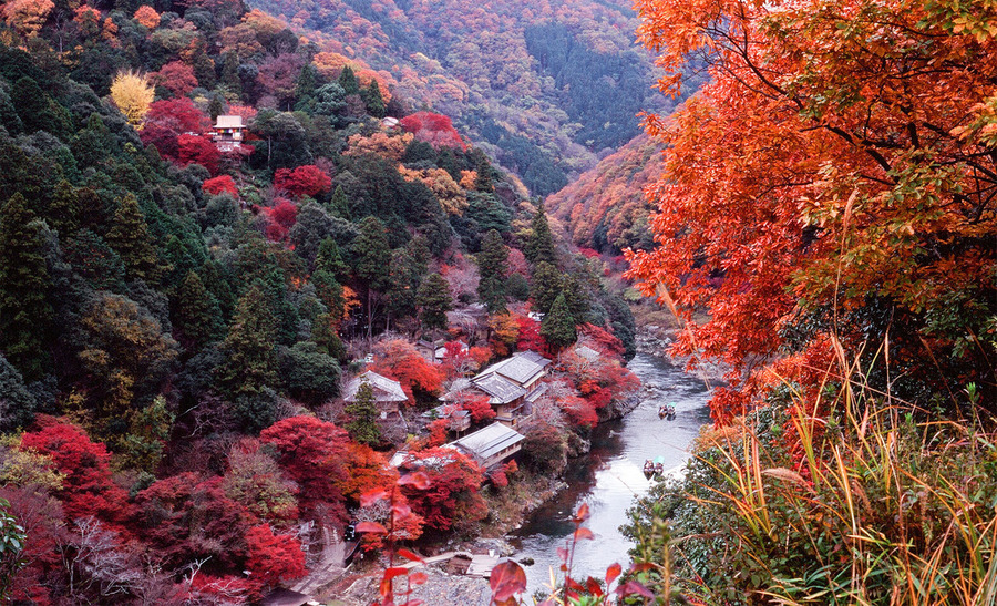 What to do in japan october