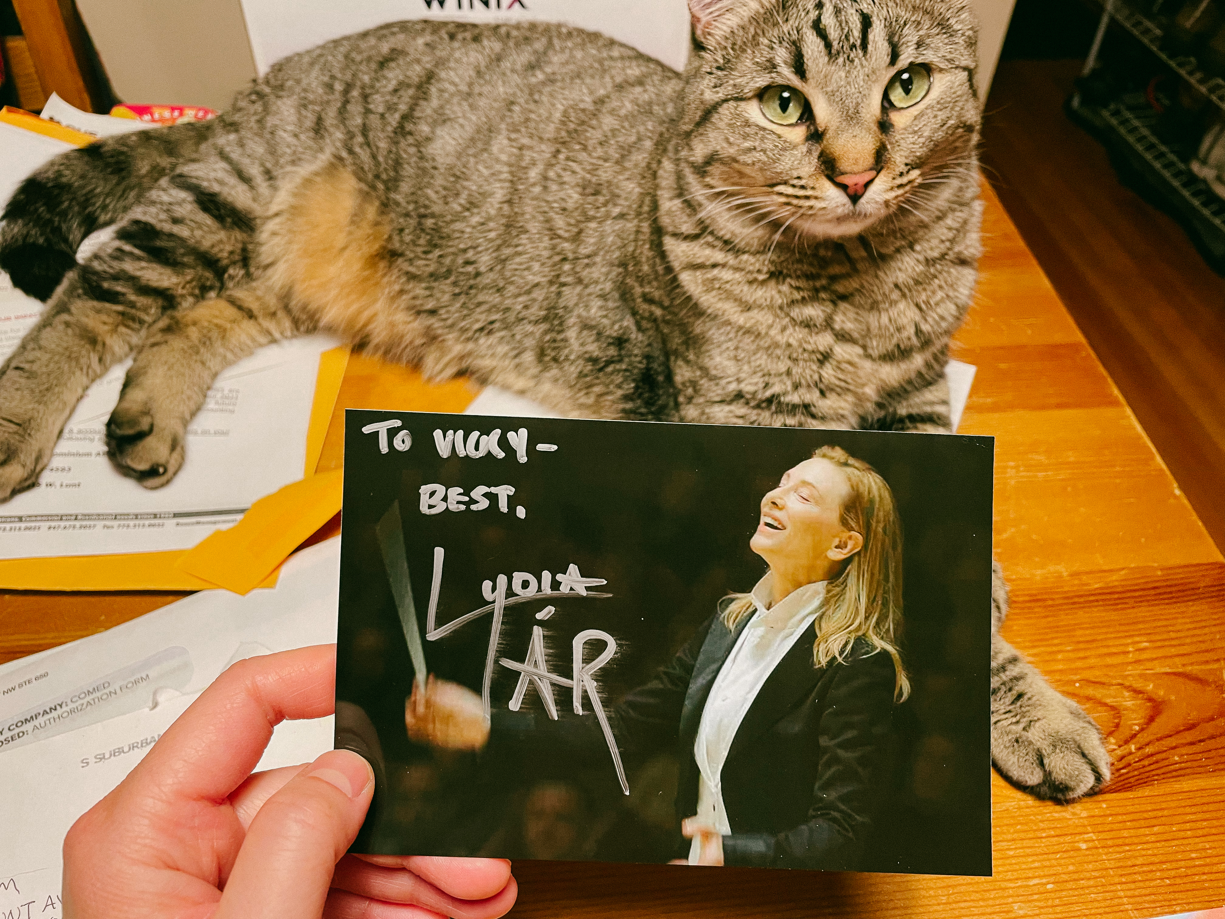 Holding an autographed photo of Lydia Tár in front of Raindrop, my cat
