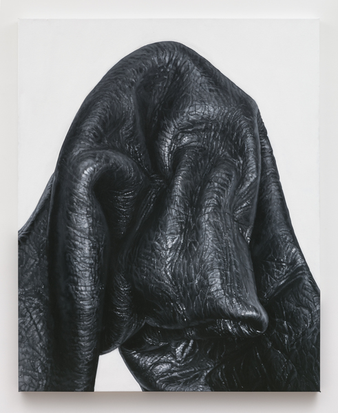 2019.01 Tamara Santibañez, Landscape I (Summit), 2016 2019.01 Tamara Santibañez, Landscape I (Summit), 2016