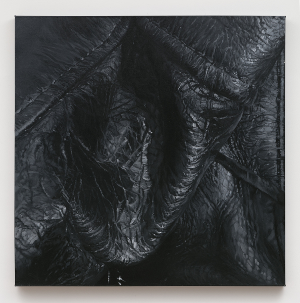 2019.01 Tamara Santibañez, Landscape V (Crevasse), 2016 2019.01 Tamara Santibañez, Landscape V (Crevasse), 2016