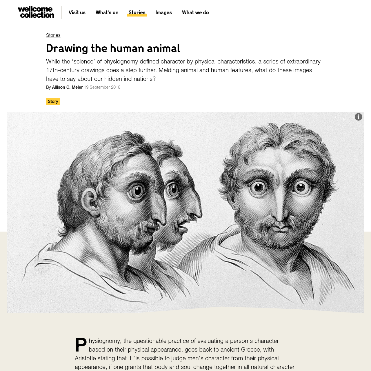 Drawing the human animal — Drawing the human animal —