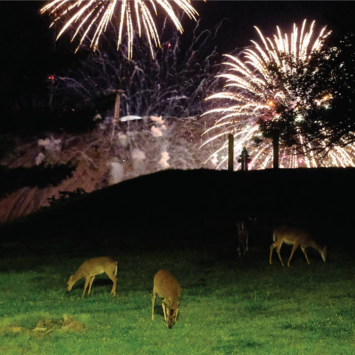 deer and fireworks