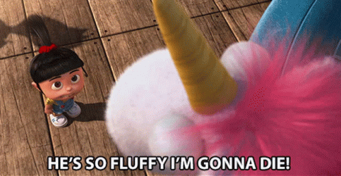 "He's so fluffy I'm gonna die!"