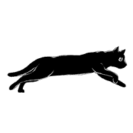 Running-cat-192px.gif
