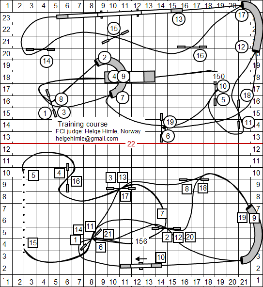 Dog Agility Course Routines