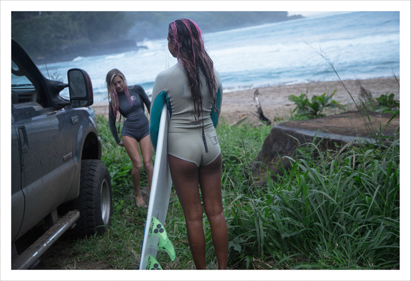 2015.07 Robin Graubard : jungle 2015.07 Robin Graubard : jungle