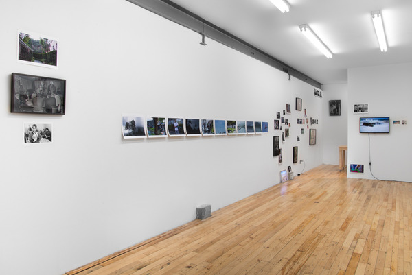 2015.07 Robin Graubard : jungle 2015.07 Robin Graubard : jungle