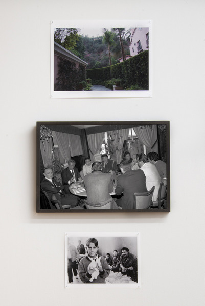 2015.07 Robin Graubard : jungle 2015.07 Robin Graubard : jungle