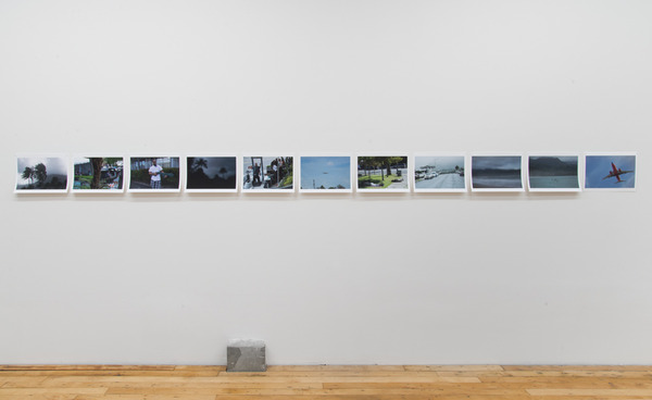 2015.07 Robin Graubard : jungle 2015.07 Robin Graubard : jungle