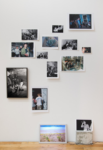 2015.07 Robin Graubard : jungle 2015.07 Robin Graubard : jungle