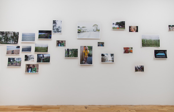 2015.07 Robin Graubard : jungle 2015.07 Robin Graubard : jungle