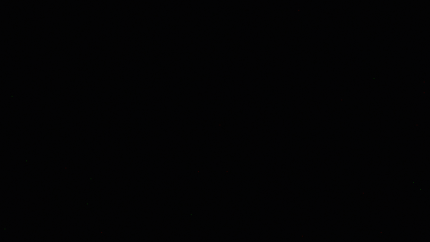 161563486080_1.gif