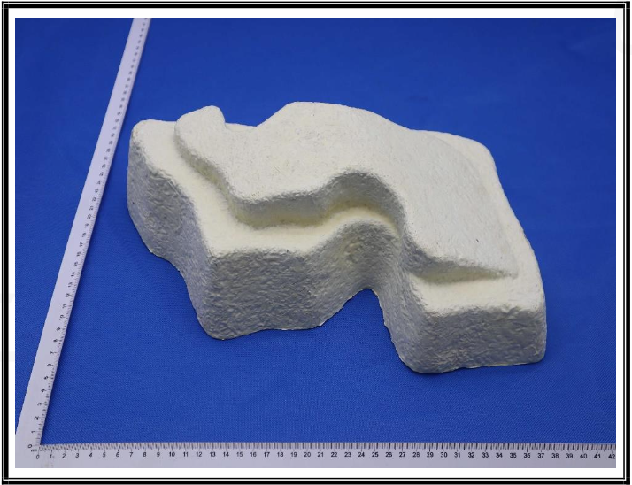 Sample from CTT Lab Tests