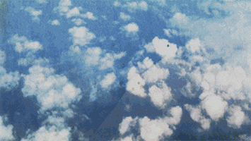 Short Film Dancing GIF by Will Kim - Find &amp; Share on GIPHY