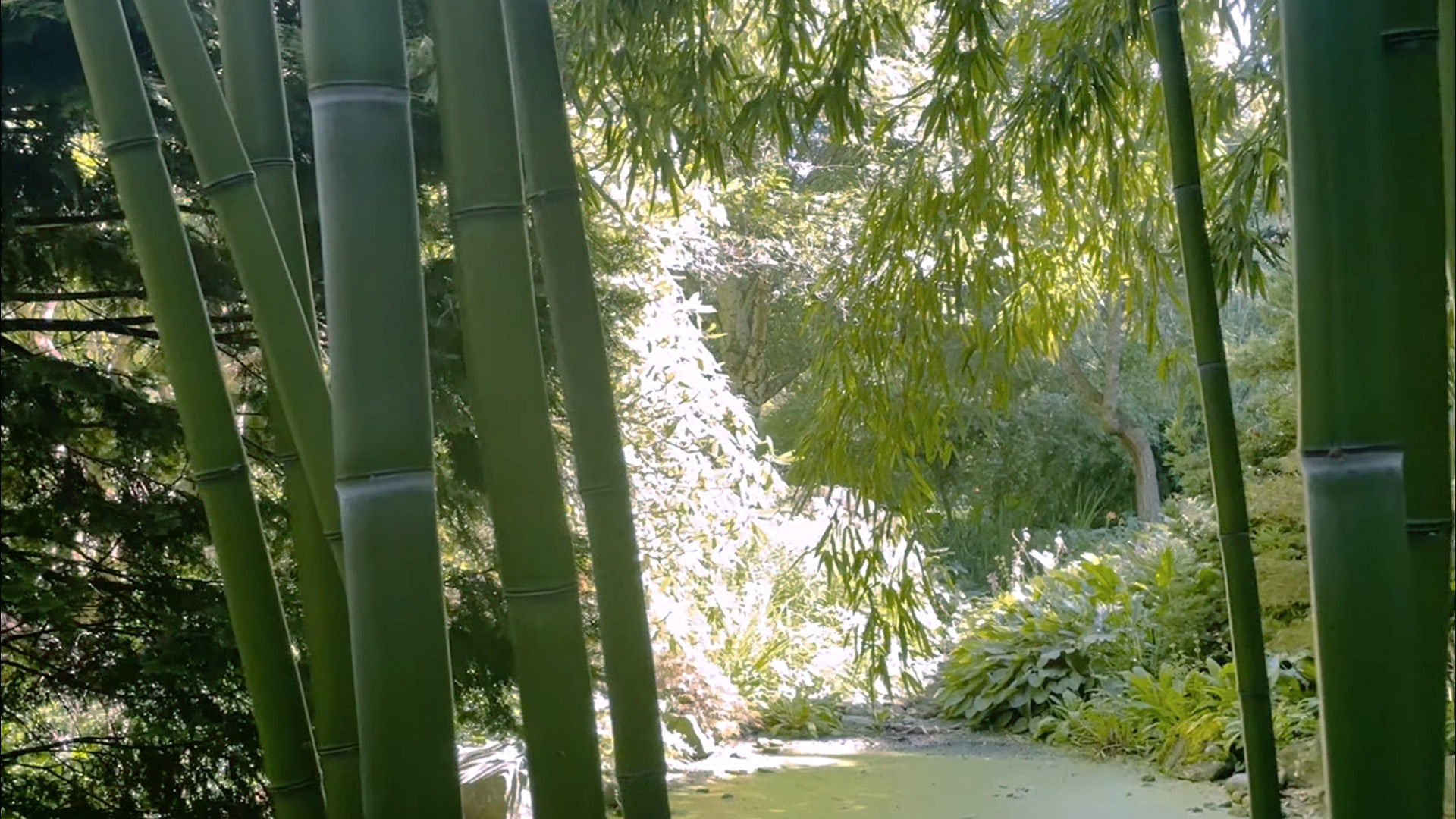 cover image for ty and rebecca's pen pal letters