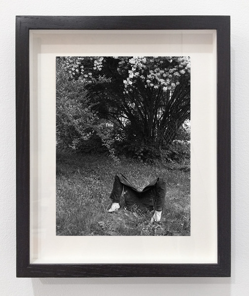 2015.09 Dan Herschlein : The Enthusiast, His Familiar, 2015 2015.09 Dan Herschlein : The Enthusiast, His Familiar, 2015