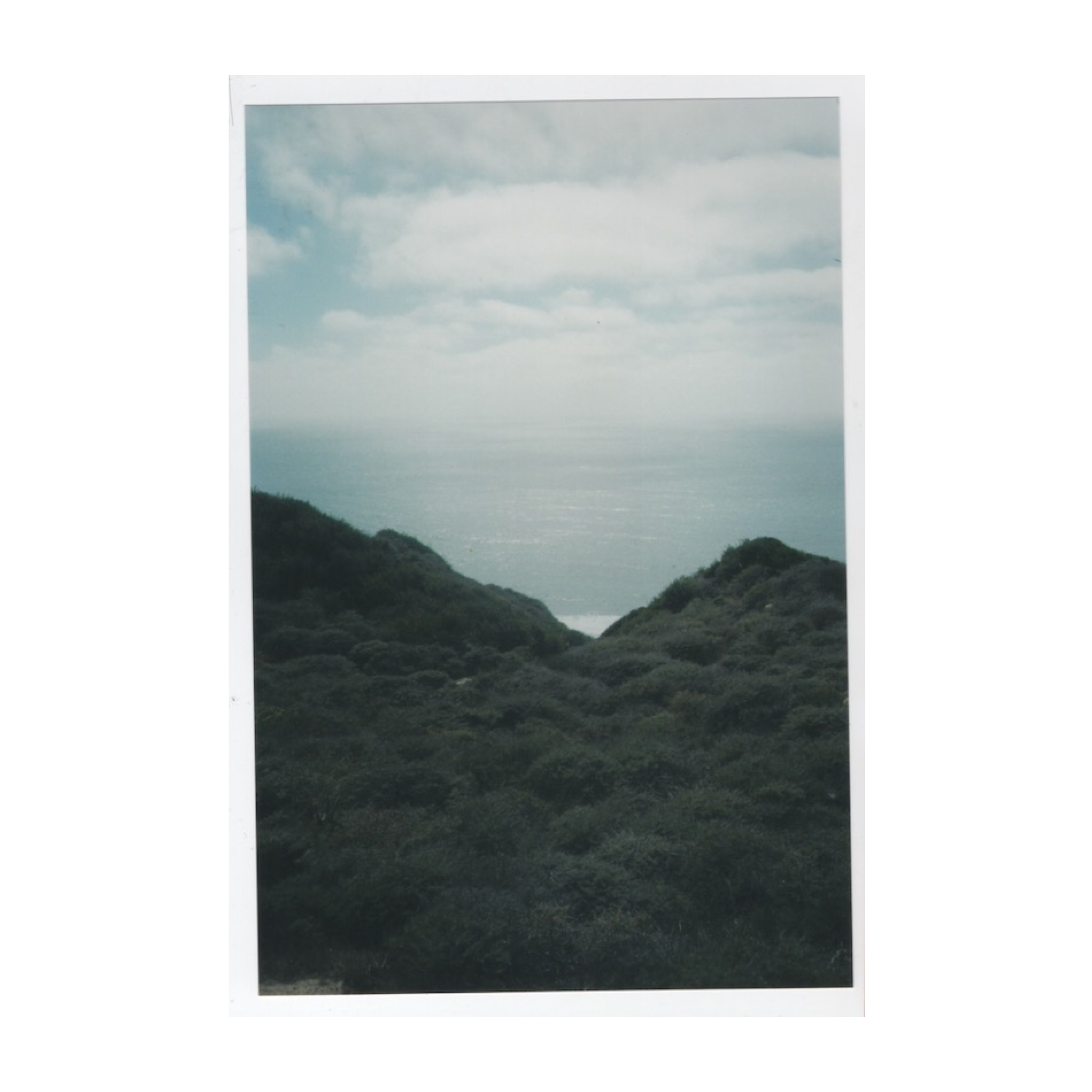 SELF FULFILLING PROPHECY