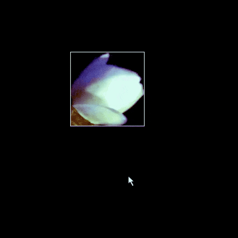 twitter-gif-2043370993092116519_69f610e8df37f.gif