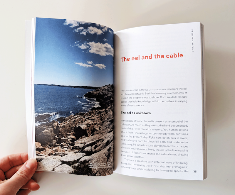 An interior spread showing the chapter titled 'The eel and the cable', opposite is a full-bleed photo of a rocky coastline