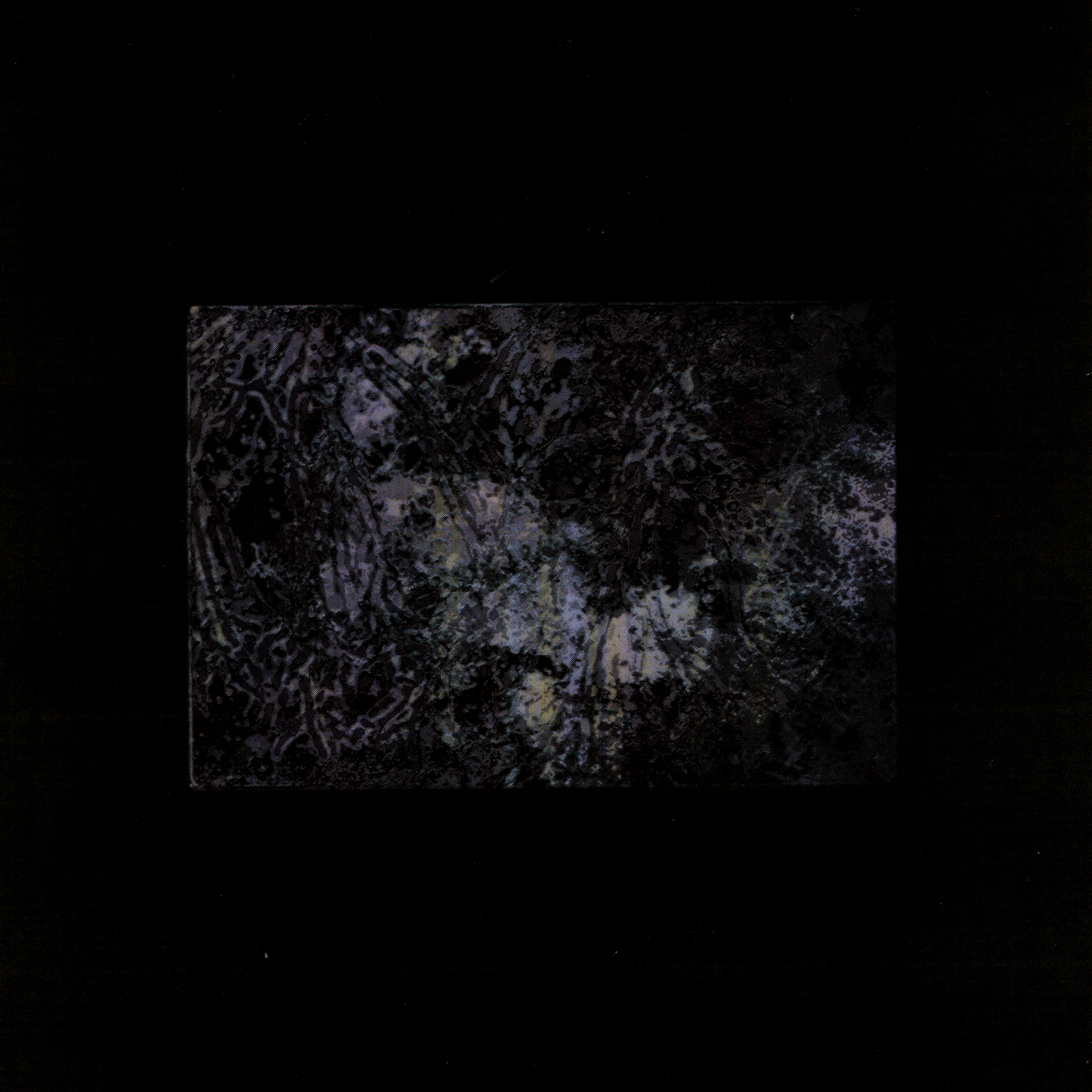 USER 2 cover