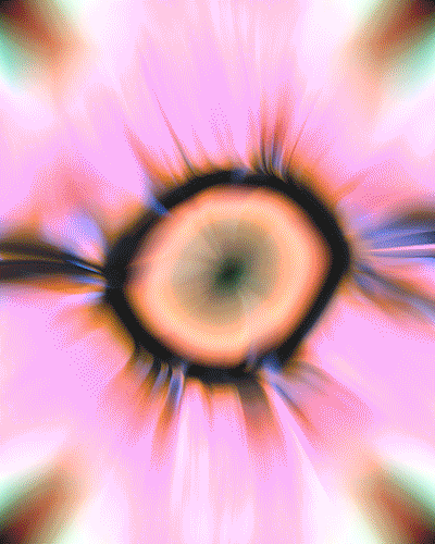 asset_17.gif
