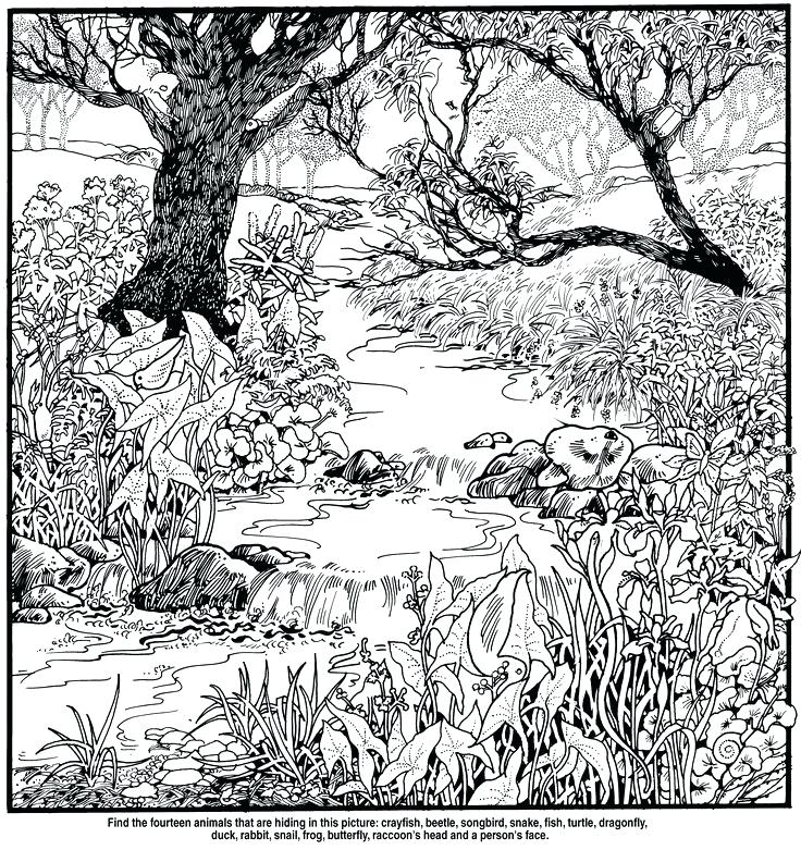 Free-printable-hidden-picture-puzzles-puzzle-exciting-free ...