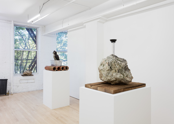 2019.11 Charles Harlan: Mountain Lake, Mountain Lake, 2019 2019.11 Charles Harlan: Mountain Lake, Mountain Lake, 2019
