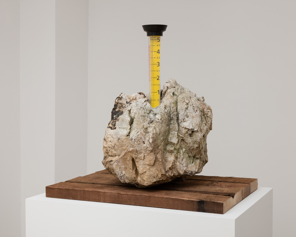 2019.11 Charles Harlan: Mountain Lake, Rain Gauge, 2019 2019.11 Charles Harlan: Mountain Lake, Rain Gauge, 2019