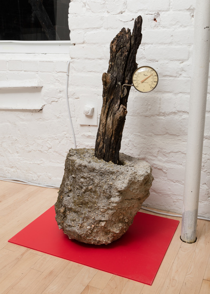 2019.11 Charles Harlan: Mountain Lake, Thermometer, 2019 2019.11 Charles Harlan: Mountain Lake, Thermometer, 2019