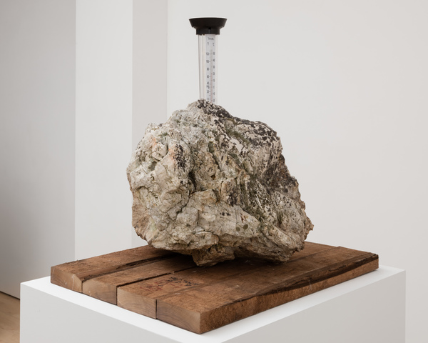 2019.11 Charles Harlan: Mountain Lake, Rain Gauge, 2019 2019.11 Charles Harlan: Mountain Lake, Rain Gauge, 2019
