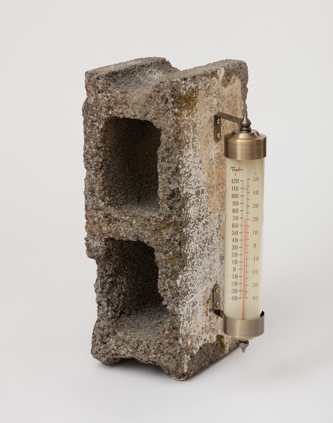 2019.11 Charles Harlan: Mountain Lake, Thermometer, 2019 2019.11 Charles Harlan: Mountain Lake, Thermometer, 2019