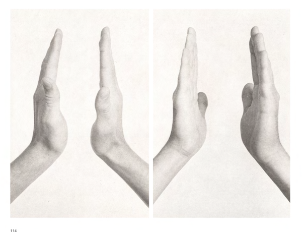 Glen Fogel, First Love as Photographic Reference for Artists, p114, 2013 Glen Fogel, First Love as Photographic Reference for Artists, p114, 2013