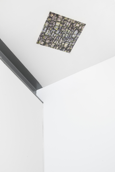2016.07 Dead Letter Office , Anna-Sophie Berger 2016.07 Dead Letter Office , Anna-Sophie Berger