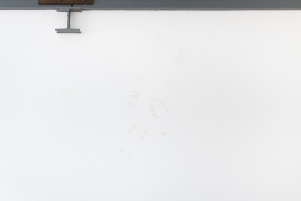 2016.07 Dead Letter Office , Anna-Sophie Berger and Lucia Elena Prusa 2016.07 Dead Letter Office , Anna-Sophie Berger and Lucia Elena Prusa