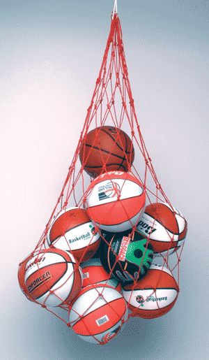 Basketballs and Net