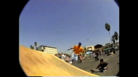 xbjyv82x8jg6k.gif