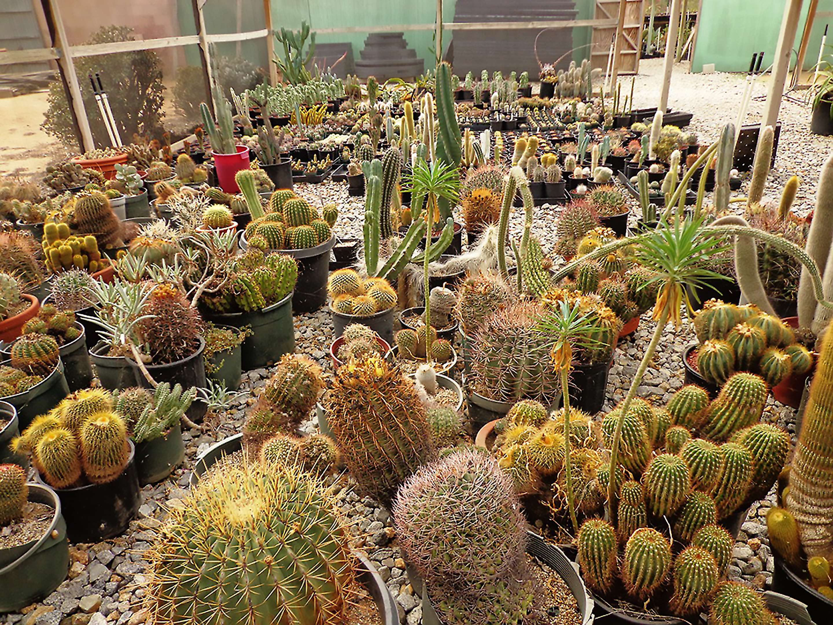 Learning Gardens – One Thousand Aesthetics Blooming