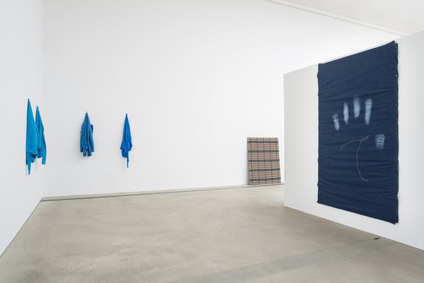 Anna-Sophie Berger, Wow! Woven? Entering the (sub)Textiles, 2015 Anna-Sophie Berger, Wow! Woven? Entering the (sub)Textiles, 2015