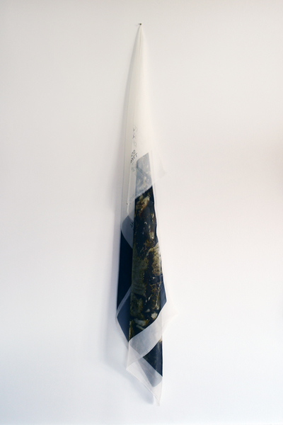 Anna-Sophie Berger, sea bass / I mind the shape after all, 2015 Anna-Sophie Berger, sea bass / I mind the shape after all, 2015