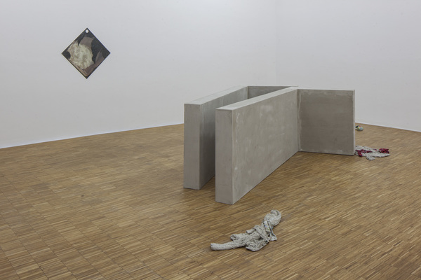 Anna-Sophie Berger, I Surrender, Dear, 2016 Anna-Sophie Berger, I Surrender, Dear, 2016