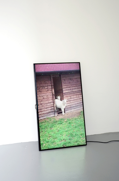 Anna-Sophie Berger, Innocent bodies (edit 1), 2016 Anna-Sophie Berger, Innocent bodies (edit 1), 2016