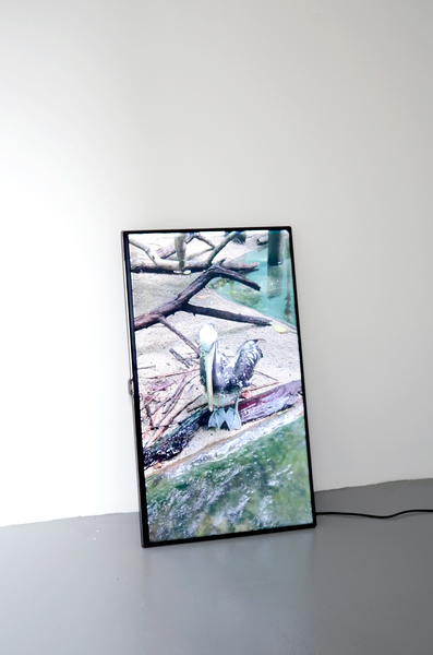 Anna-Sophie Berger, Innocent bodies (edit 1), 2016 Anna-Sophie Berger, Innocent bodies (edit 1), 2016