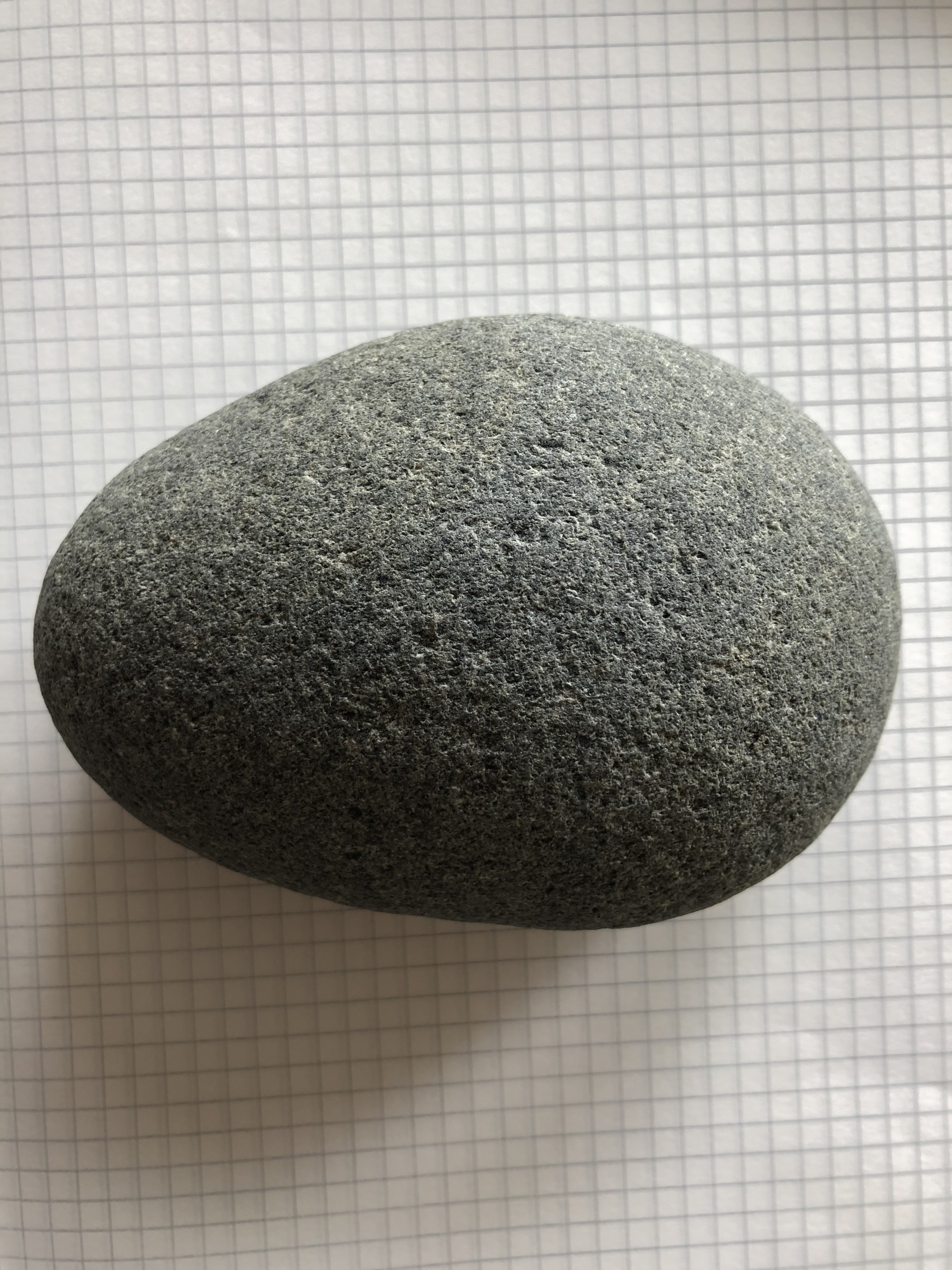 a vertical color photograph of an oval grey granite rock on graph paper