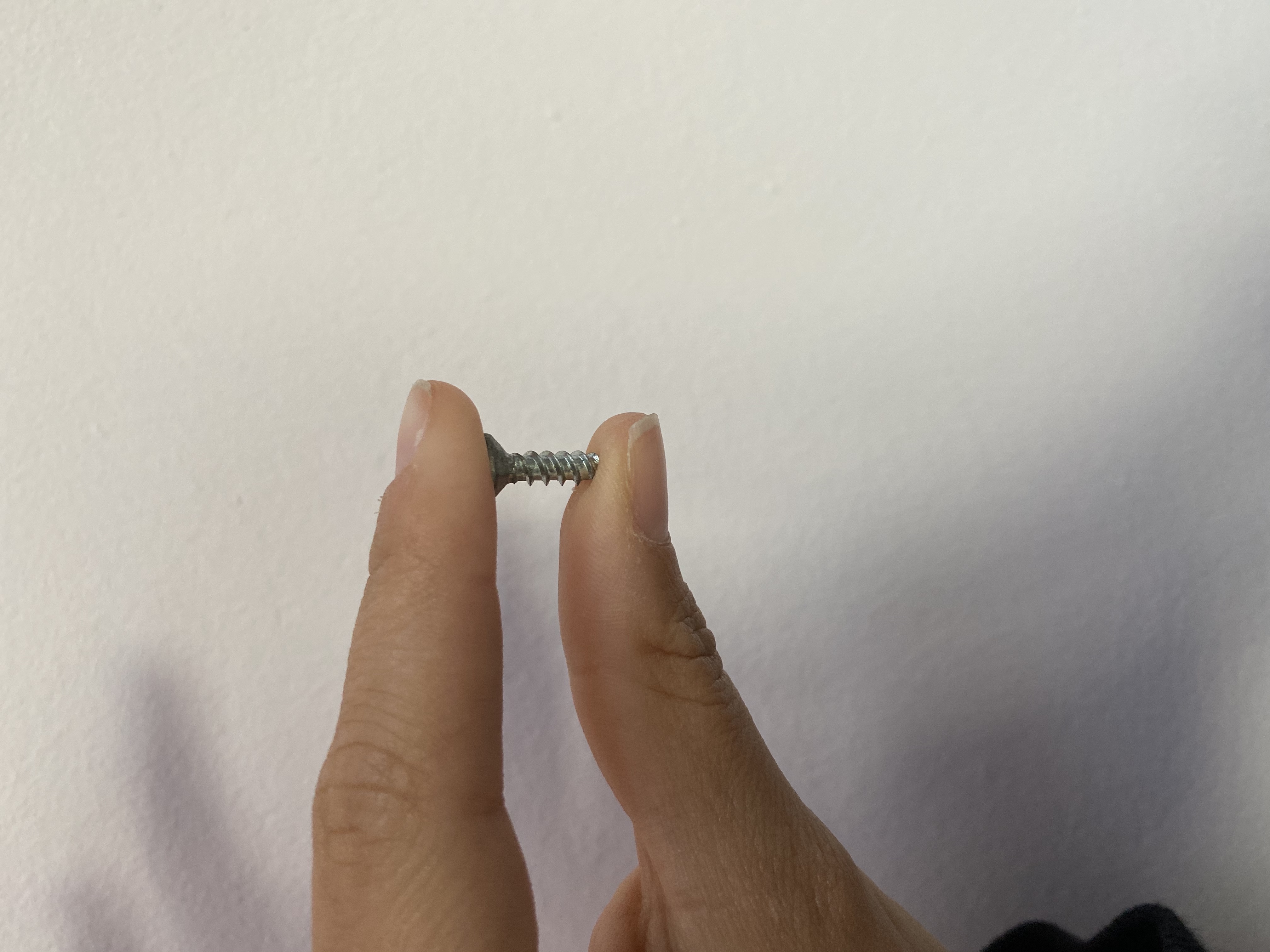 this is not a screw, this is a bee attraction device