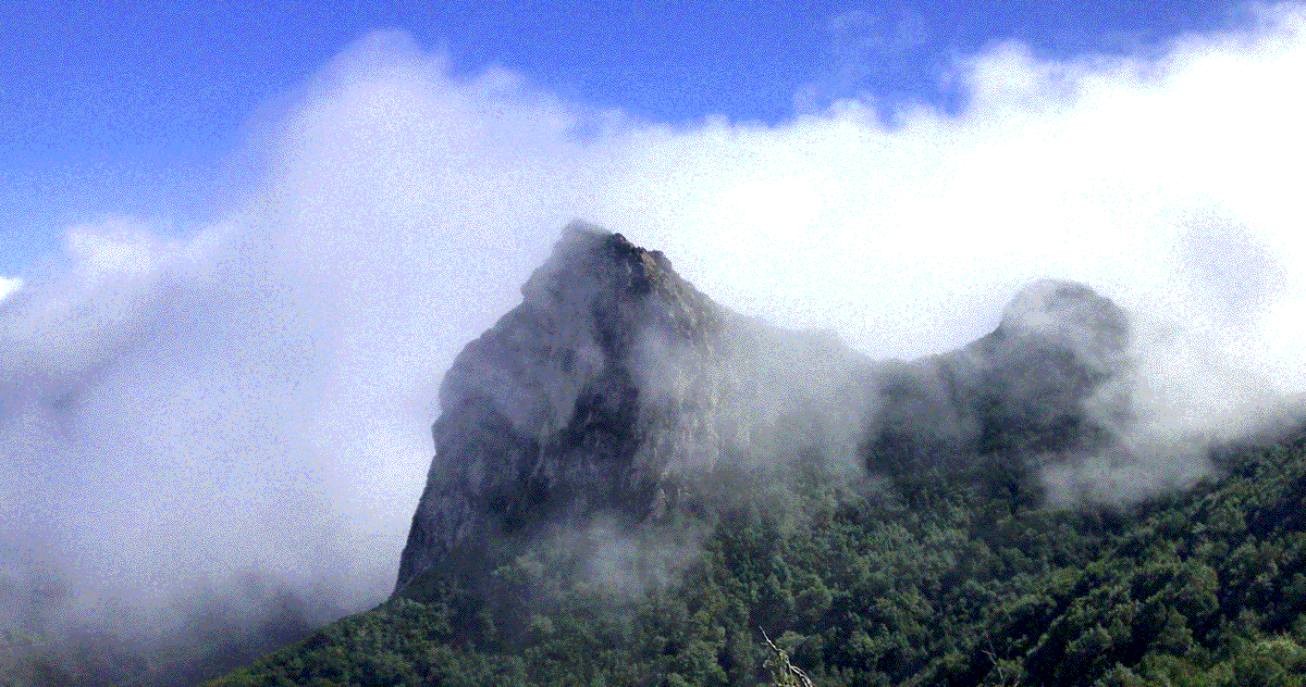 Clouds moving across a forest-covered mountain