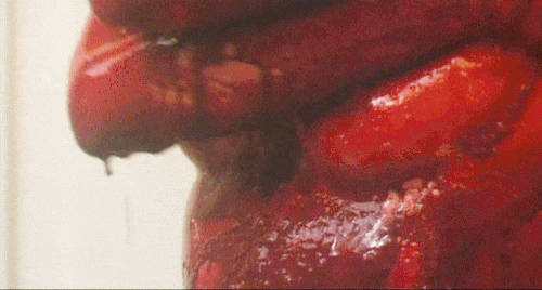 Immoral-Tales-1974.gif