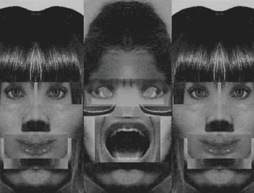 wideeyedpolisheddogwoodtwigborer-size_restricted.gif